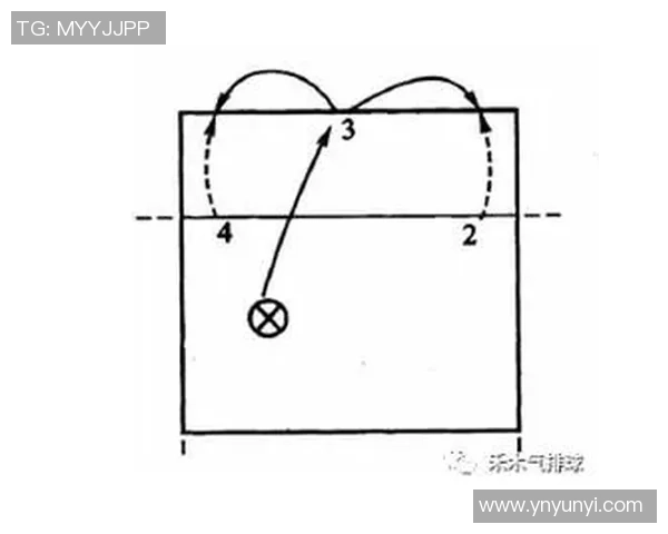 深圳排球队进攻战术解析与实战应用探讨
